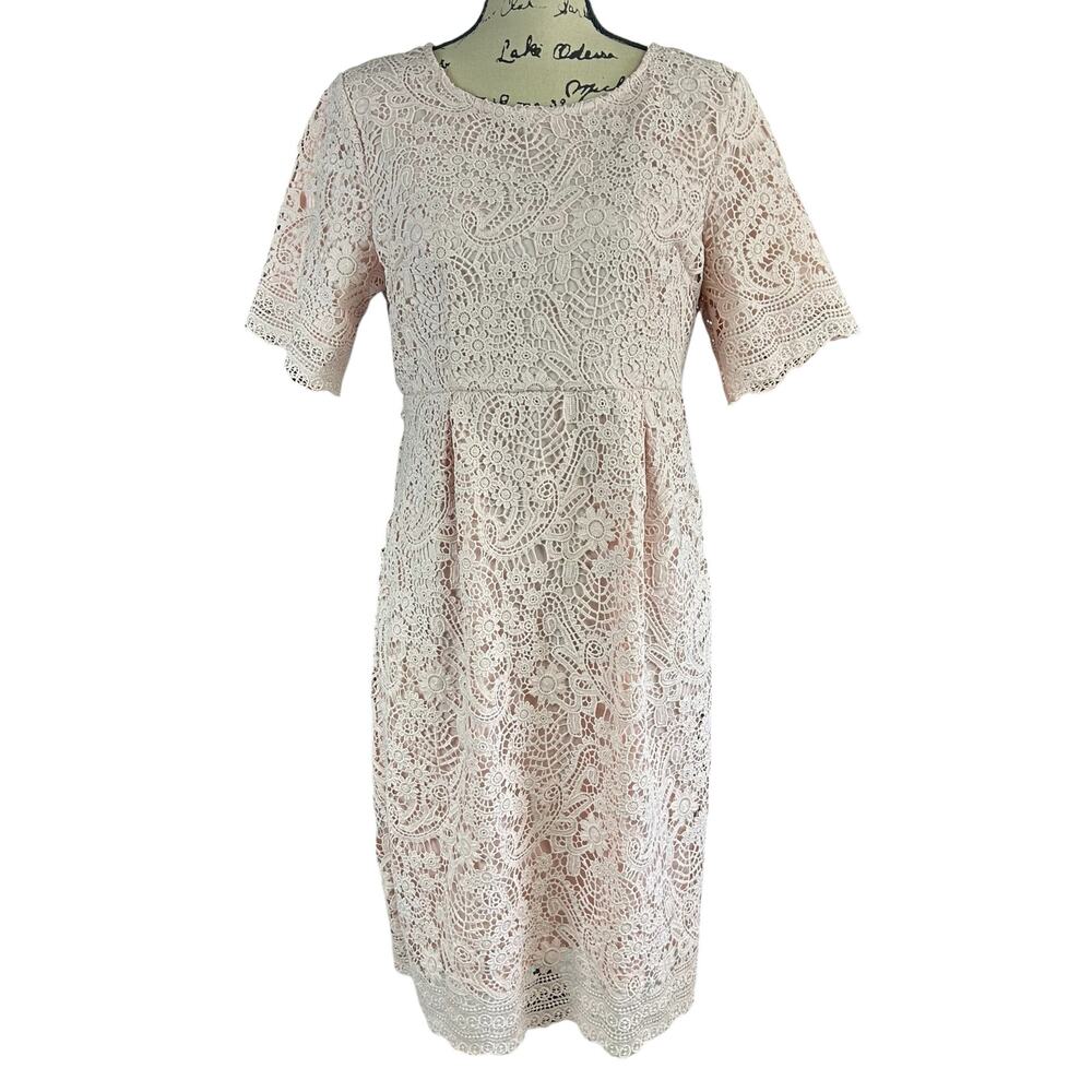 Mikarose Overlay Dress Sz Medium Soft Pink Floral Crochet Lace Romantic Zip Back
